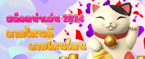 โบนัสเติมเงินรายวัน 20% promotion banner